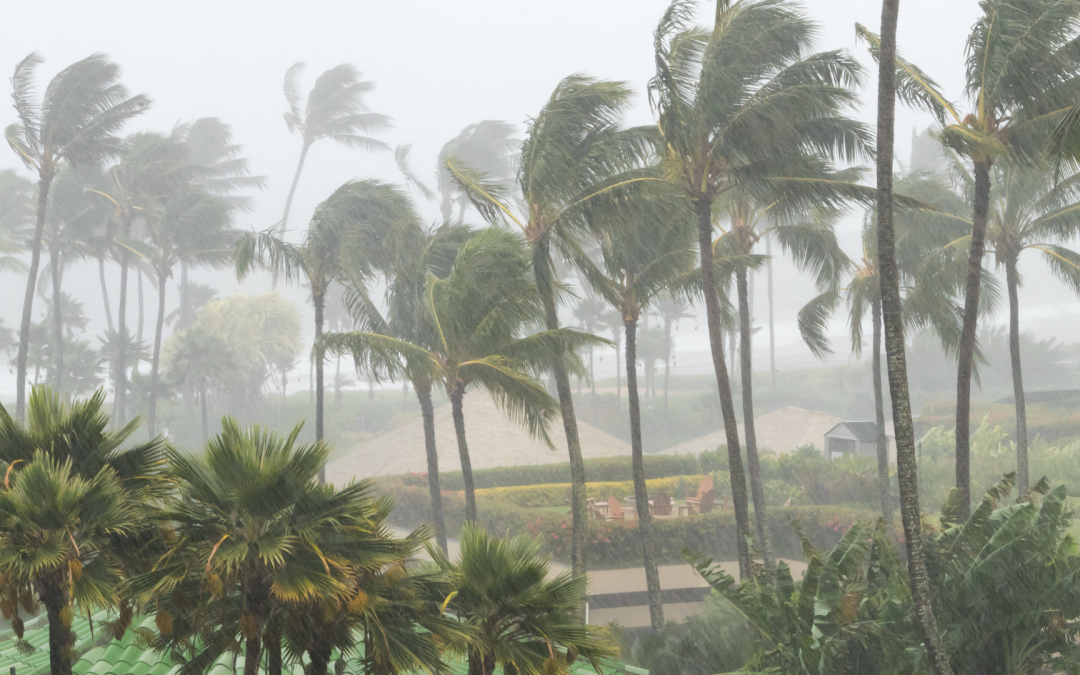 Hurricane Outage Case Study