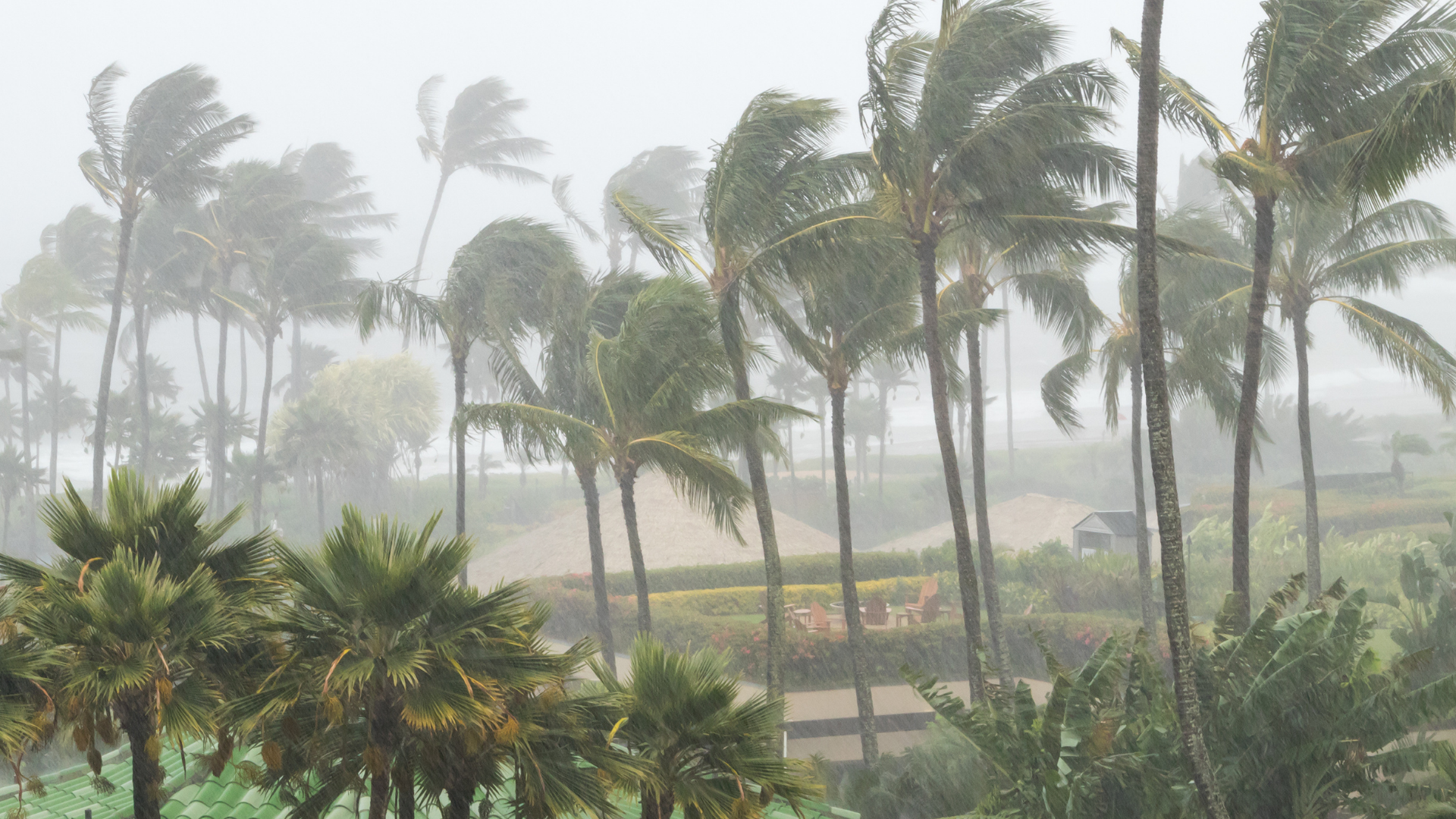 Hurricane